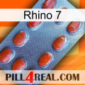 Rhino 7 06